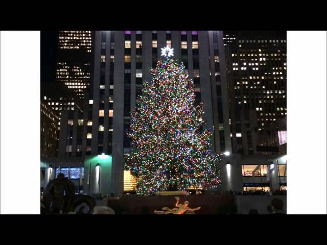 NYロックフェラーセンターのクリスマスツリー、今年のツリーはペンシルベニアから運ばれてきた。