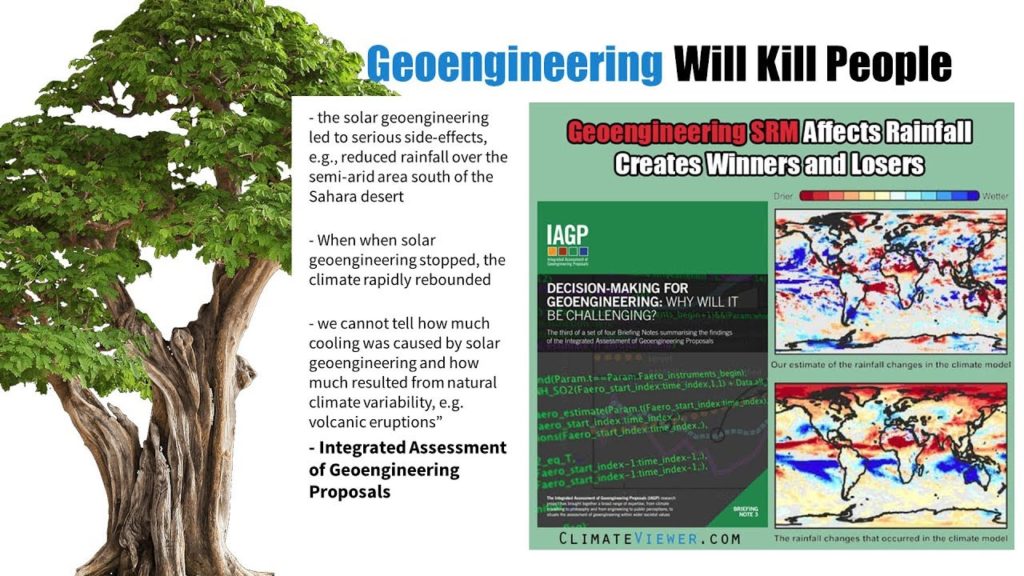 Plant Trees or Geoengineering Will Kill Billions!