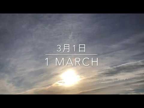 3月1日の空　朝から既に白い空。ケムトレイル機も飛びましたが、あまり撮影できませんでした。