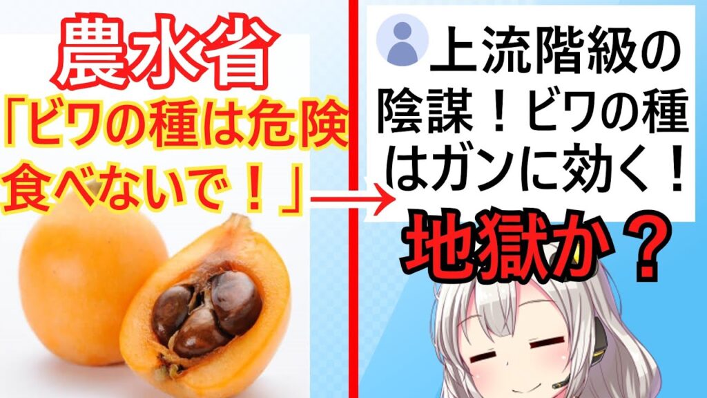 農水省「ビワの種は毒だよ」→陰謀論者「ビワの種は薬！政府の陰謀！」→リプ欄が地獄と化す…