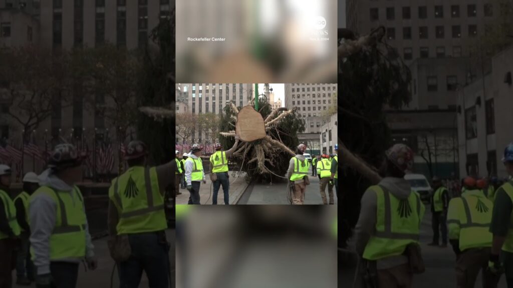 Rockefeller Center Christmas Tree arrives in New York City