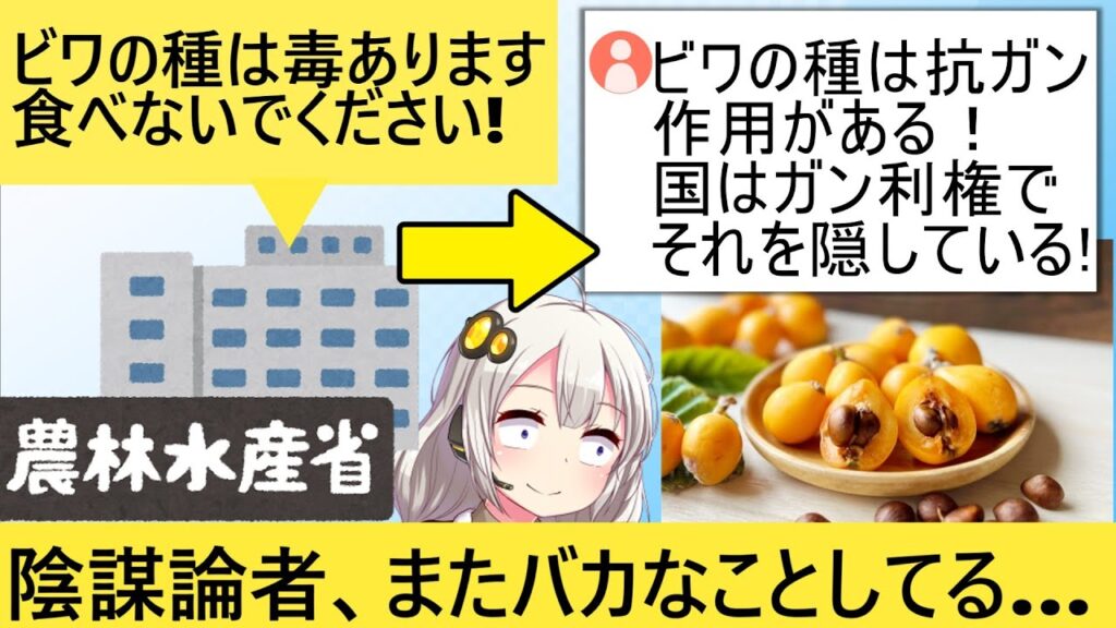 国「陰謀論者さん!ビワの種（毒）食べないで！」→陰謀論者「うるさいですね…」ﾓｸﾞﾓｸﾞ
