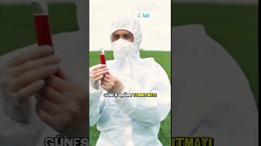 #ClimateChange #labakademi #Geoengineering #EnvironmentalAwareness #SustainableFuture #ScienceNews