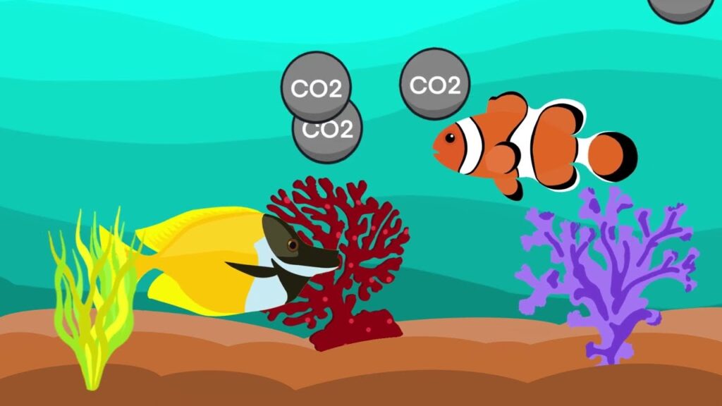 Erklärvideo „Geoengineering“ – Julian Gromadka – Medienbildung Magdeburg