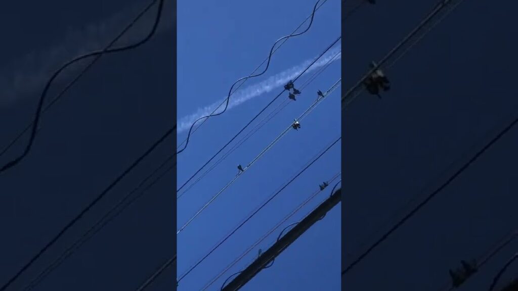 ケムトレイルじゃないとしたらなんだろうね？