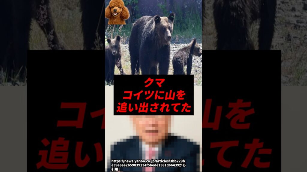 【悲報】クマ、コイツに山を追い出されていた..