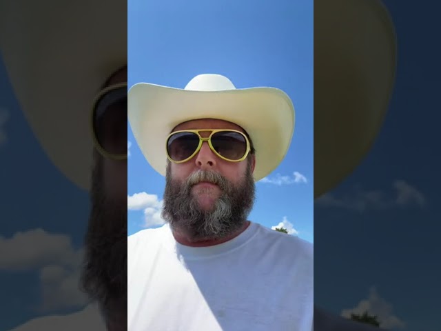 ケムトレイルによる畑のアルミニウム汚染　GMO作物だけが元気に育つ