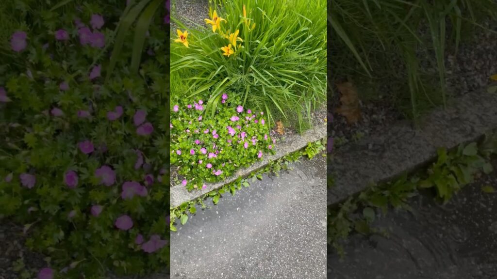Rain #Shorts #Shortsfeed #Shortsbeta #Weather #geoengineering #Street #Viral #Europe #Subscribe #YT