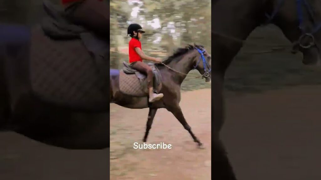 illuminati song #song #viral #shorts #avesham #horse #riding #boy #illuminati