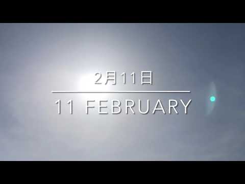 2月11日の空　朝から乳白色の空。ケムトレイル機が沢山飛んで、夕方には真っ白な空に。